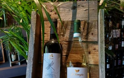 La Freschezza del Pinot Grigio – Profumi di Spezie