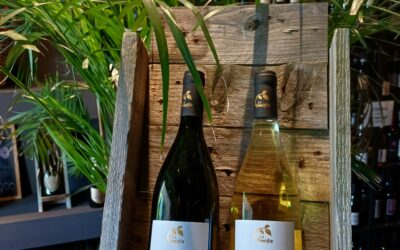 Un Merlot Rotondo e Avvolgente – Chardonnay in Cemento
