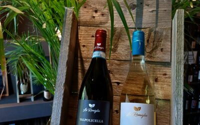 L’Avvolgenza del Valpolicella – Garganega in Purezza